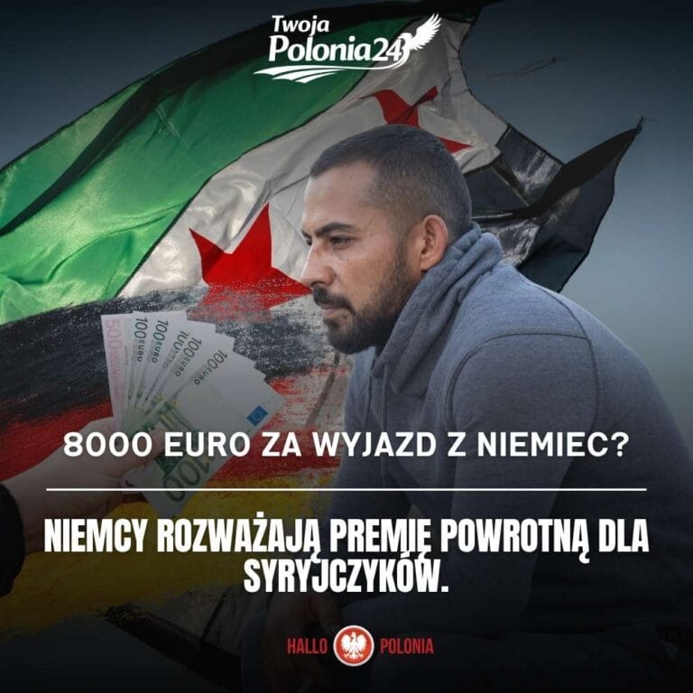 8000 euro dla Syryjczyków za dobrowolny powrót do Syrii
