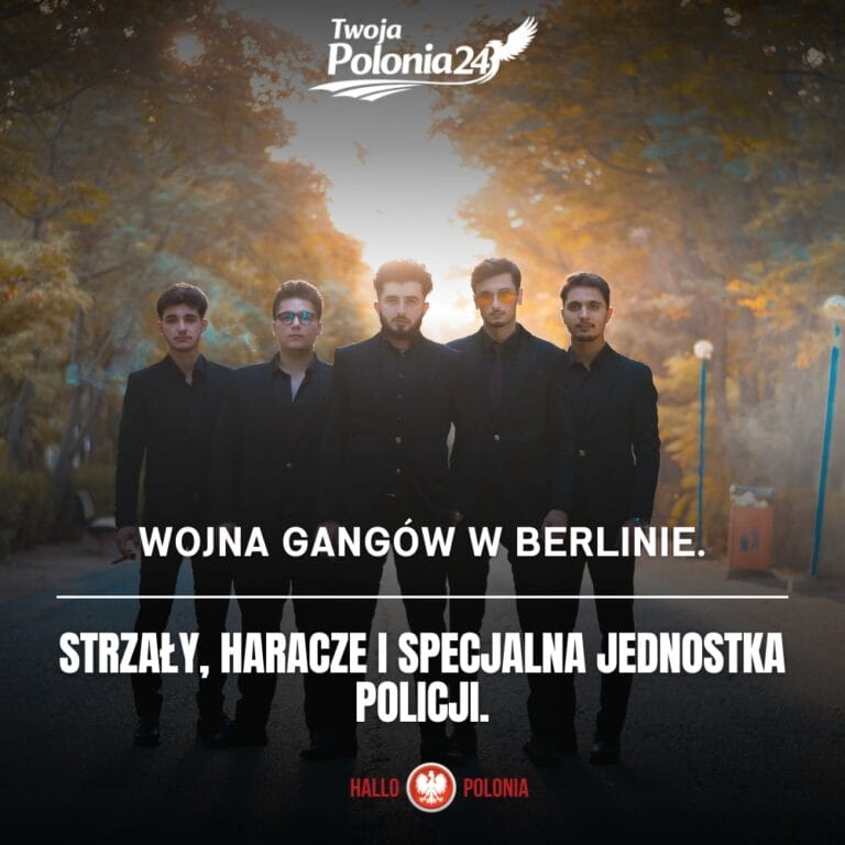 Wojna gangów w Berlinie i działania policji przeciwko przestępczości zorganizowanej