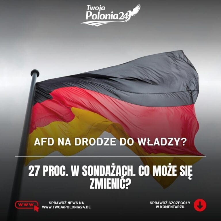 AfD u władzy w Niemczech – analiza poparcia, możliwych koalicji i skutków dla obywateli