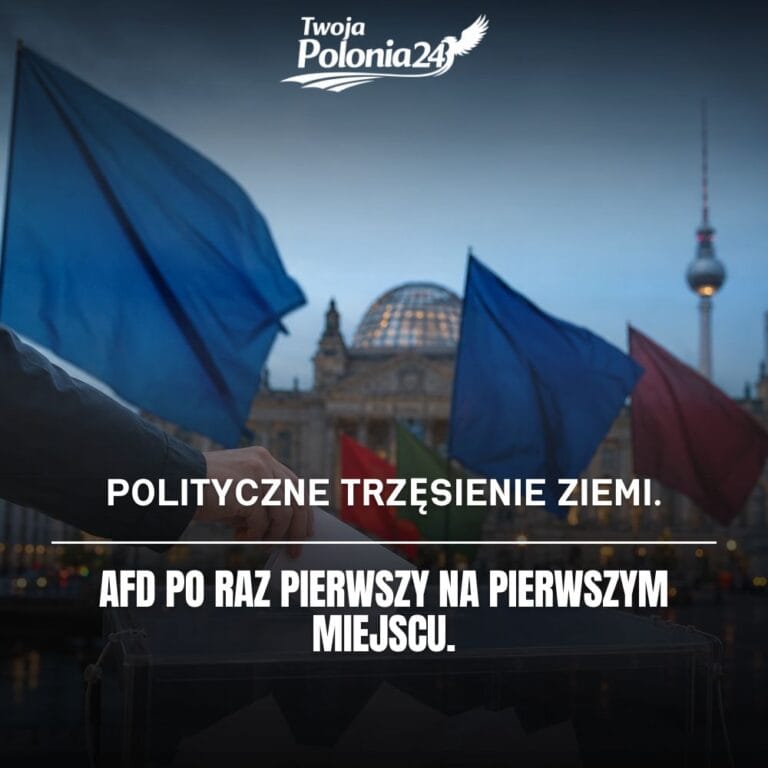AfD w Berlinie na pierwszym miejscu w sondażu przed wyborami