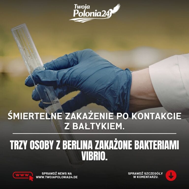 Niebezpieczne bakterie w Bałtyku spowodowały zakażenia trzech osób z Berlina