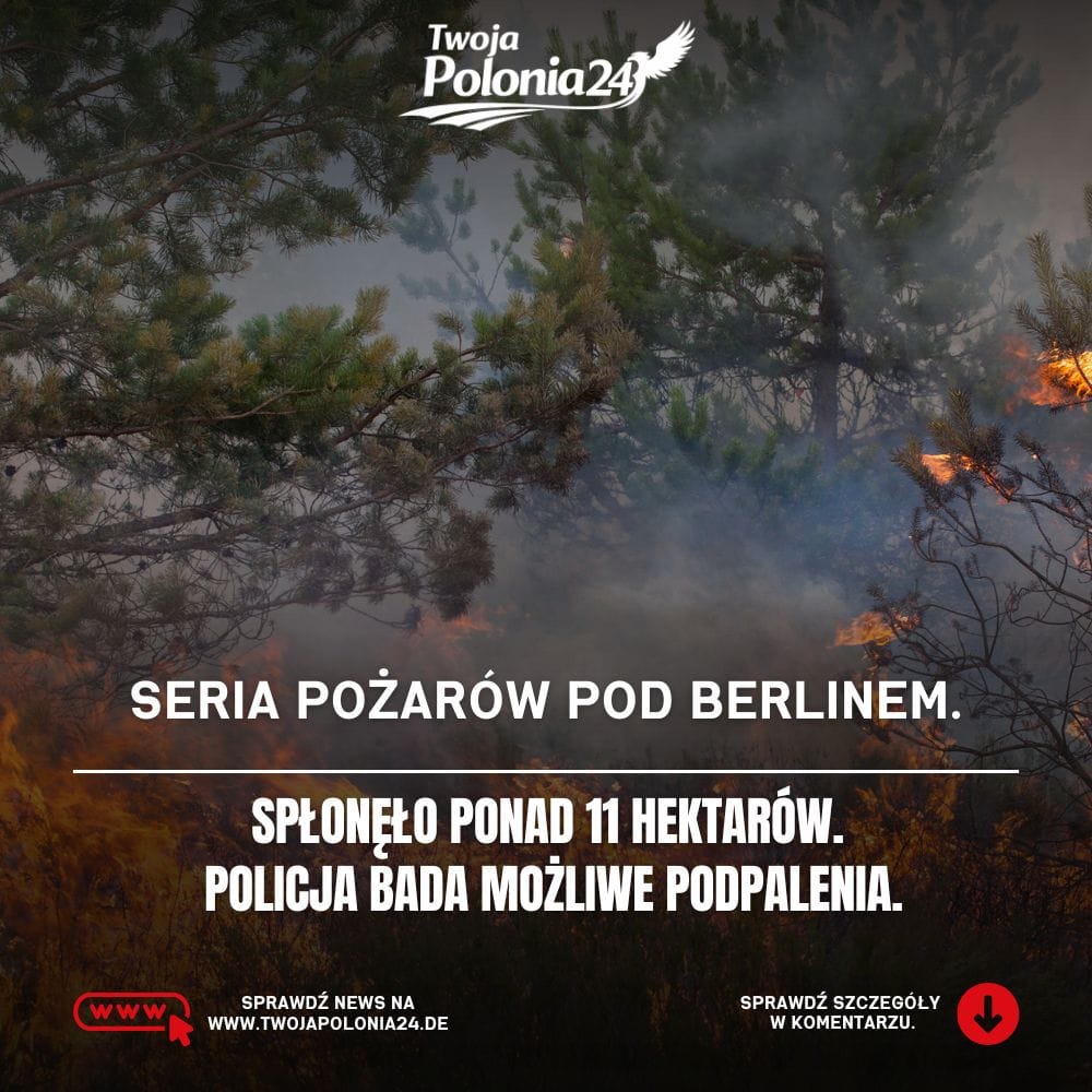 Pożary w Oberhavel pod Berlinem, policja bada możliwe podpalenia