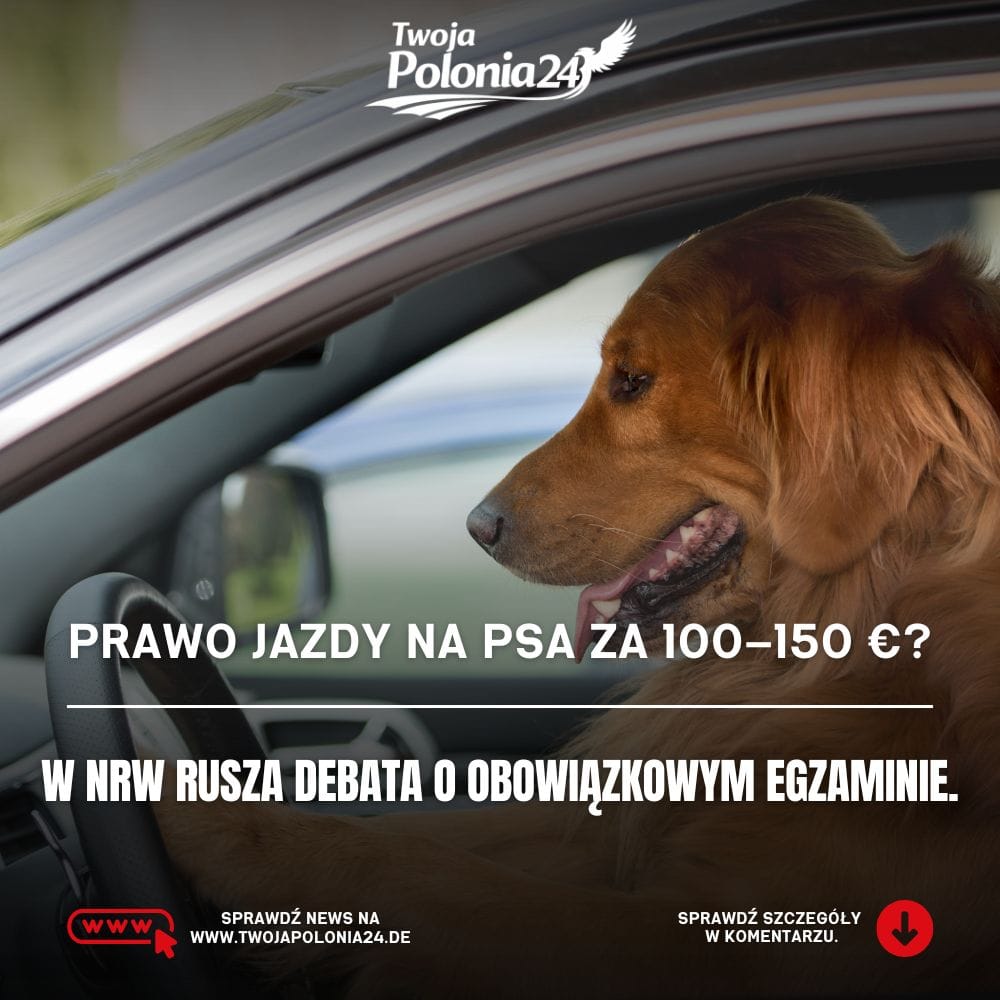 Hundeführerschein w NRW – propozycja obowiązkowego egzaminu dla właścicieli psów