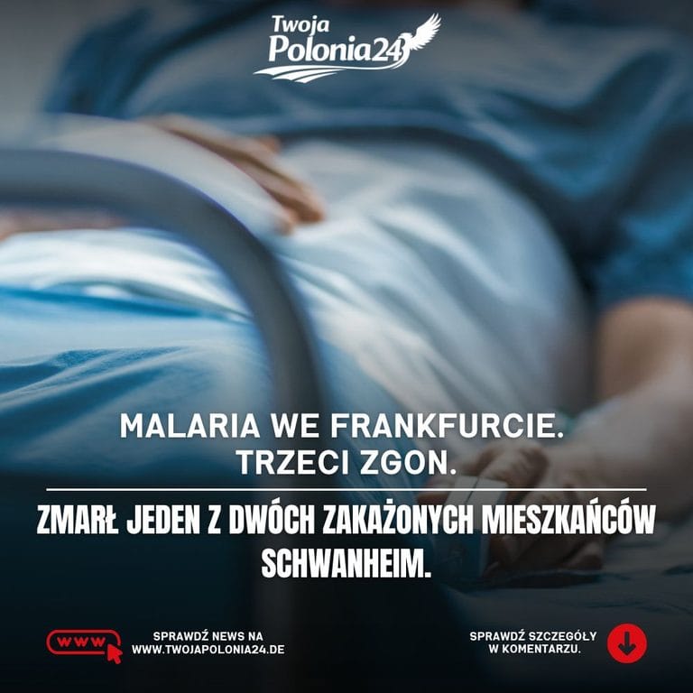 Malaria we Frankfurcie – zmarł jeden z dwóch zakażonych mieszkańców Schwanheim