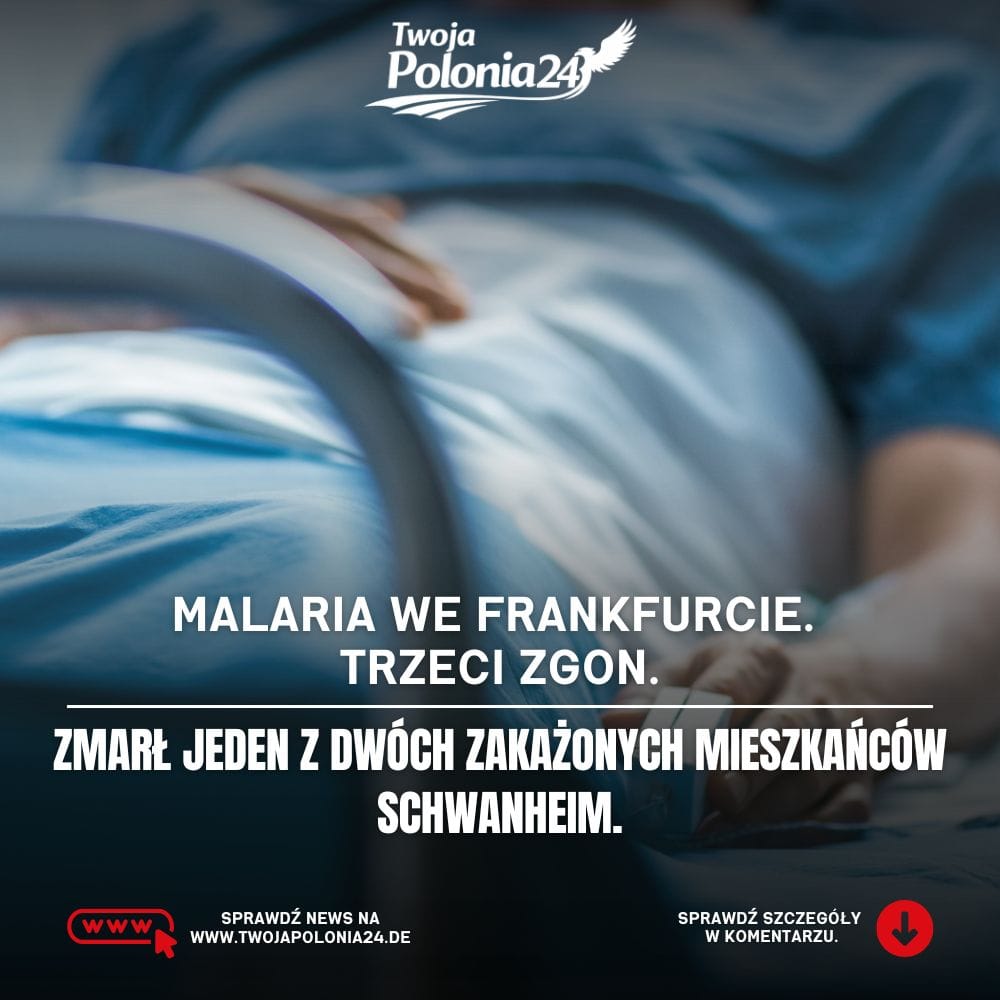 Malaria we Frankfurcie – zmarł jeden z dwóch zakażonych mieszkańców Schwanheim